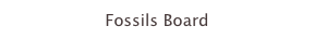 Fossils Board