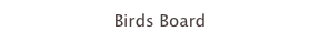 Birds Board